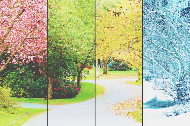 【写真心理】好きな風景写真はどれ？　答えでわかるあなたが喜びを感じるとき