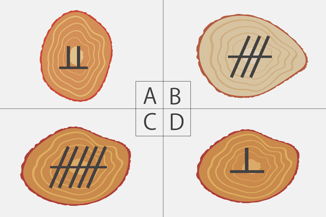 【心理テスト】妖精がくれた木の飾りはどれ？　答えでわかるあなたの恋へのアドバイス