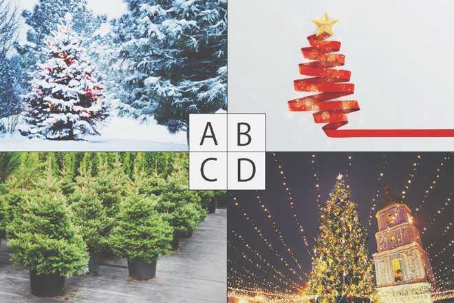 【心理テスト】好きなクリスマスツリーでわかる、2019年に訪れる幸せな出来事