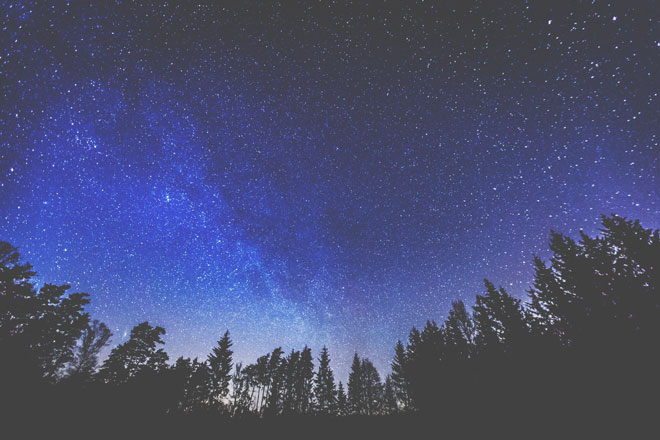 【水星占星術】2月10日～4月12日の水星的運勢　魚座は本領発揮できるとき！