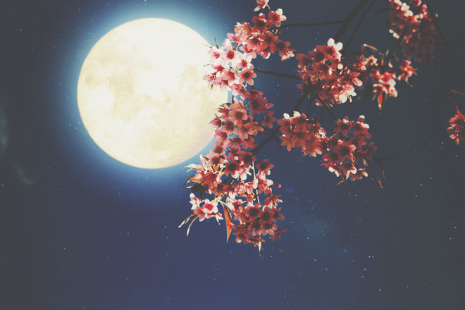 3月21日は天秤座の満月　八方美人を手放して、真の人間関係を手に入れよう！