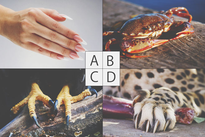 【心理テスト】好きな人を思い浮かべて爪を選んで！　答えでわかる愛をつかむ方法