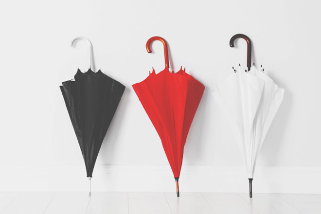 12星座ありなし調査【傘を持っていく編】牡牛座は天気予報よりも自分のカンを信じる！