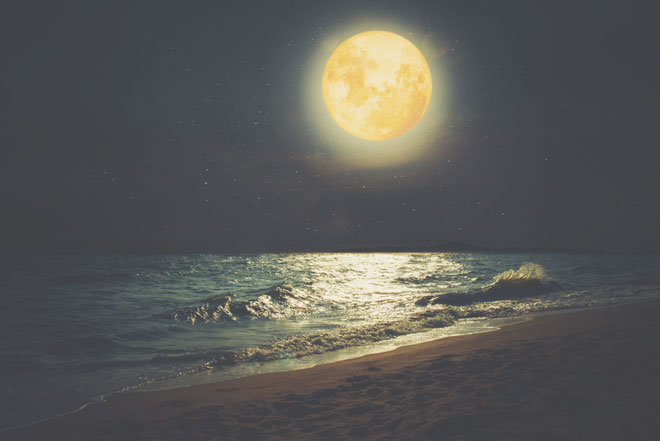 8月15日は水瓶座の満月　あまのじゃくを手放して、楽しいネットワークを手に入れよう！