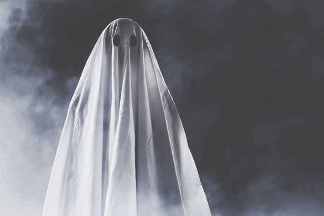 星座グループ別【もしも幽霊になったら？】牡牛座・獅子座・蠍座・水瓶座は守護霊に!?