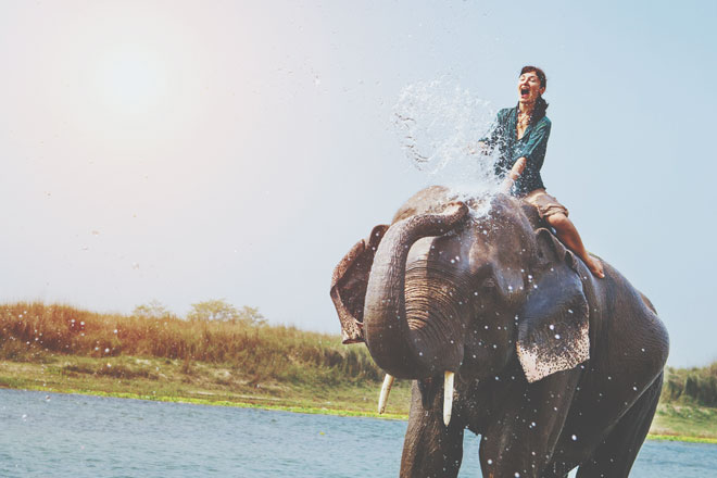 【夢占い】ゾウに乗る夢は財力を手に入れられる予兆！　ゾウの夢が暗示すること