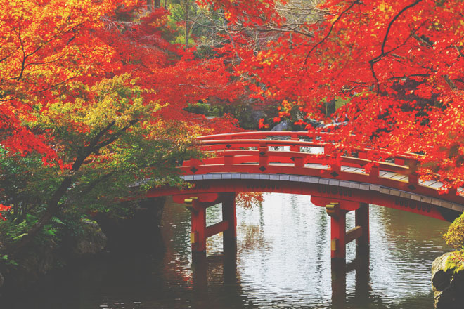 【10月の開運方位】ラッキー方位は「南」、紅葉狩りに出かけて秋の陽の光を浴びよう！