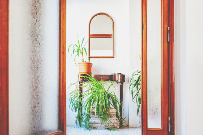 【開運作法】玄関は住人の「顔」！　観葉植物＆生花を飾って生命力を強めよう