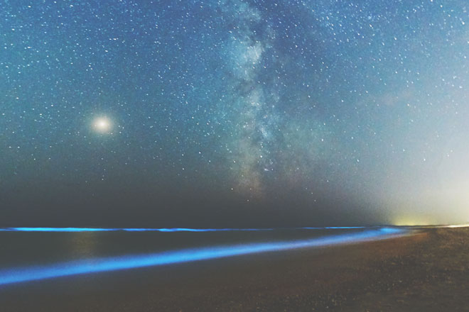 【火星占星術】10月4日～11月19日の火星的運勢　天秤座は愛想のよさがパワーアップ！