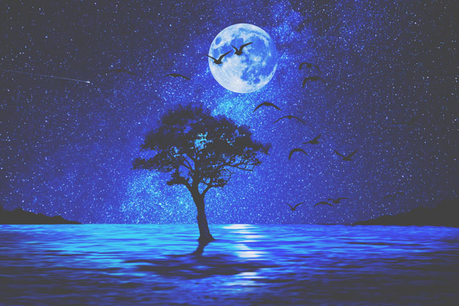 11月12日は牡牛座の満月　お金への不安を手放して才能で稼ぐ人生を手に入れよう！