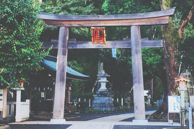 2020年パワースポットランキング【仕事運】『高麗神社』で立身出世を願おう！