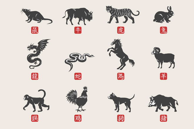 【2020年の干支占い】子年生まれは何かと注目され、光り輝く1年に！