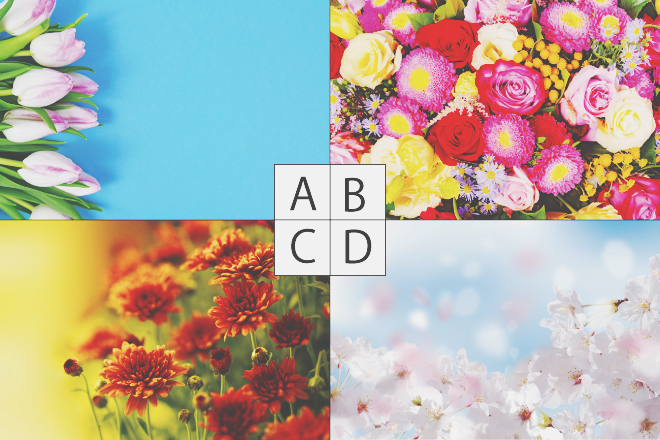 【心理テスト】選んだ春の花でわかる、恋愛が成就しない原因