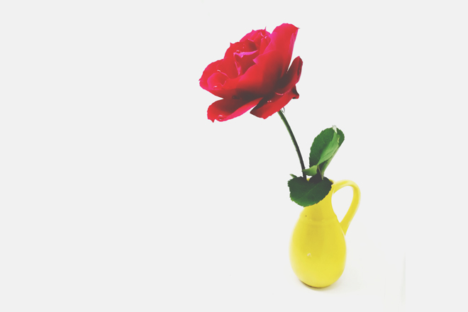 【4月のカラータロット占い】ラッキーカラーは「レモンイエロー」、金運アップは一輪挿し！