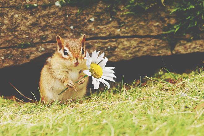 【一言診断】この写真を見て一言！　答えでわかる、あなたに訪れる幸せの予感