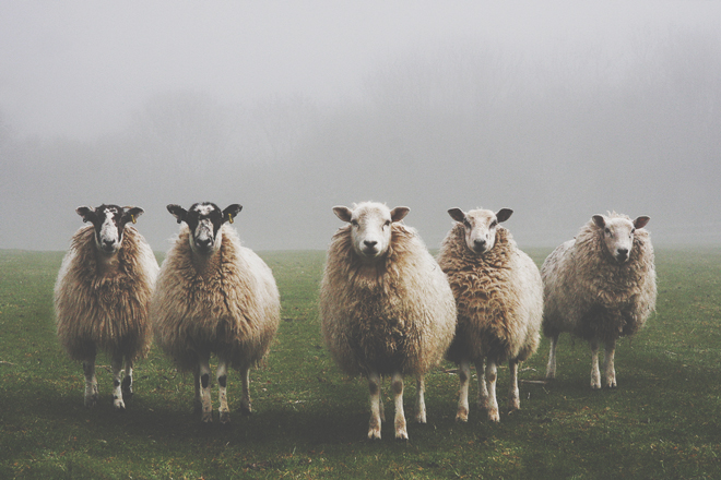 【一言診断】この写真を見て一言！　答えでわかる、あなたの心のさけび