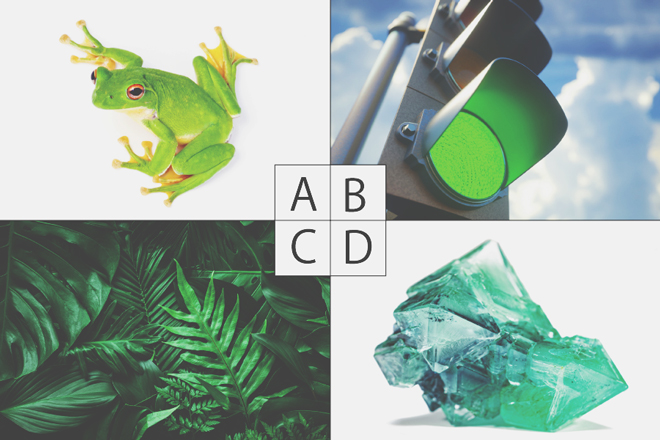 【色×コト占い】「緑」でイメージするものは？　答えでわかる人付き合いの傾向