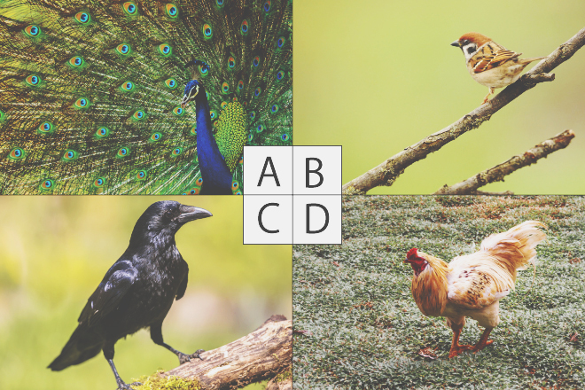 【心理テスト】魔法が失敗、何に変身した？　答えでわかるあなたのネガティブ度