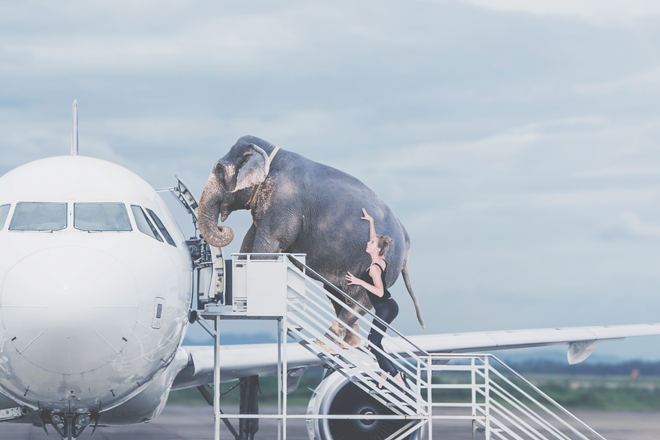 【一言診断】この写真を見て一言！　答えでわかる、心がぽきっと折れやすい度