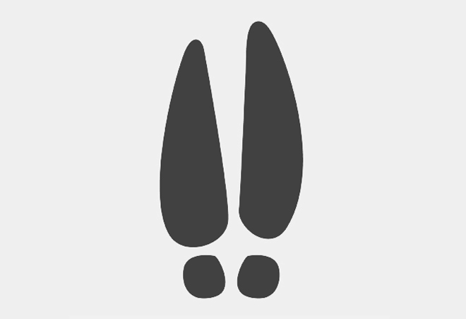 【心理テスト】このシルエット、何に見える？　答えでわかるあなたの束縛願望