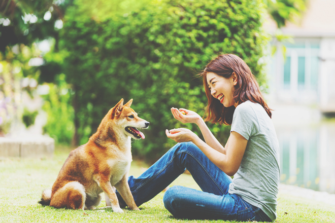 【手相占い】アニマルコミュニケーターになれるかも！　動植物と会話ができる手相ベスト3