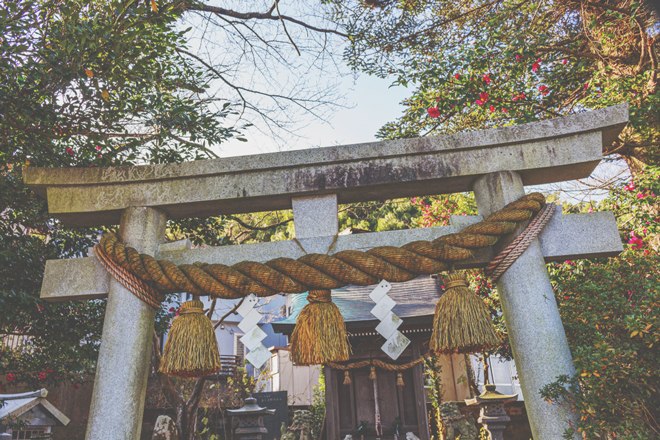 2021年の厄年本厄は1985年・1989年・2003年生まれ　メンタルの乱れに気をつけて！