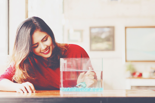 【心理テスト】飼いたい魚でわかる、将来リッチな生活が送れるかどうか