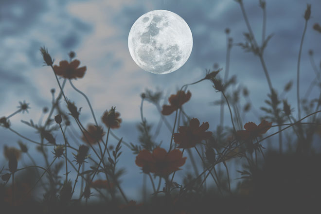 10月20日は牡羊座の満月　ためらいを手放して、新しいスタートを思い描こう