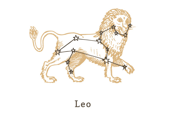 2022年、しし座は「感謝して受け取る」と金運・仕事運がアップ【しし座の金運】