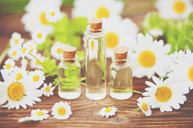 【アロマ占星術】2月19日、太陽が魚座へ 春に向けた準備をアロマでサポートしよう！