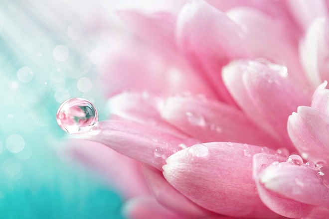 人気占い師・叶ここの「天宝占術」で占う！　あなたのアピアランスは？