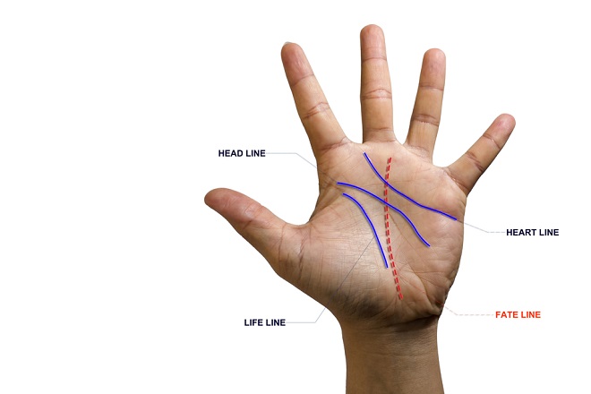 手相で「大きな儲け」を表す線は？　長くて濃いと成功者になれるかも！