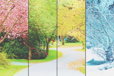 【心理テスト】好きな風景写真はどれ？　答えでわかるあなたが喜びを感じるとき