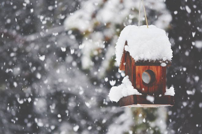 【心理テスト】雪が積もったらどうする？　答えでわかるトラブルが起きたときの行動