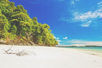 【夢占い】無人島の夢は1人になりたい願望のあらわれ　島の夢が暗示すること