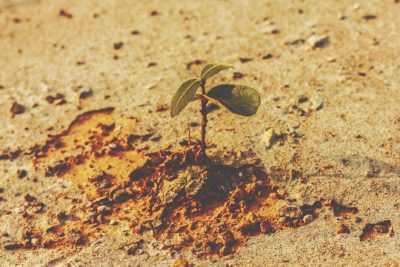 【心理テスト】未開の地への旅立つ理由でわかる、人生の分岐点で起こること